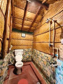 Dream Hampi Cottage - 3