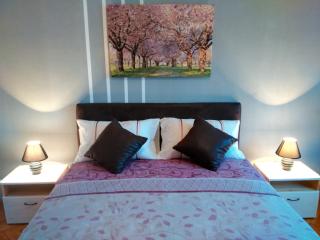Apartment Premija - Vrdnik - 3
