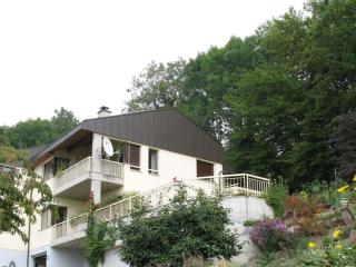 Blonay Logis de Vacances 2 - 0