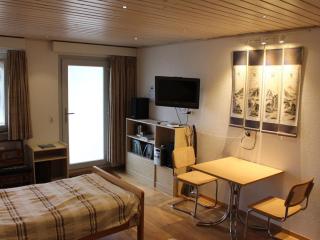 Blonay Logis de Vacances 2 - 3