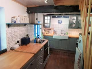 Thatched cottage in the meadow - 1