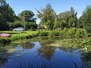 Thatched cottage in the meadow - 3
