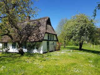Thatched cottage in the meadow - 9