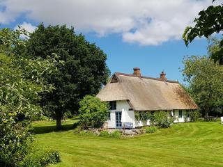Thatched cottage in the meadow - 0