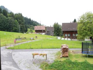 One-bedroom apartment - Bildstein - 8
