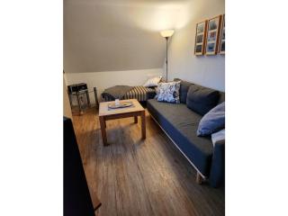 -CANCER- in the -muschelsöker- - 3