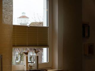 -CANCER- in the -muschelsöker- - 2