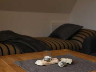 -CANCER- in the -muschelsöker- - 4