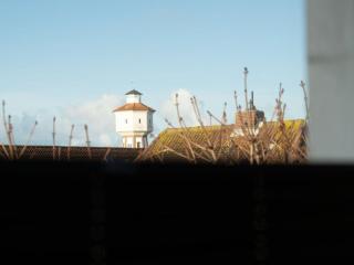 -CANCER- in the -muschelsöker- - 1