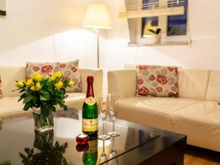 Apartment in Dresden with swimming pool - 7