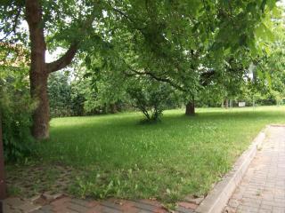 Holiday apartment near Müritz shore - 7