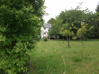 Holiday apartment near Müritz shore - 6