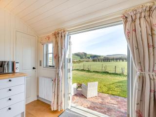 Sunflower - Uk42360 - 7