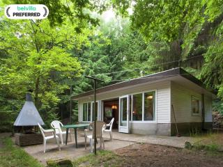 Forest Chalet in Lanklaar - 0
