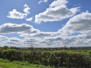 Wagtail Cottage - 9