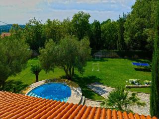 Villa in Čilipi near Dubrovnik with Pool - 3
