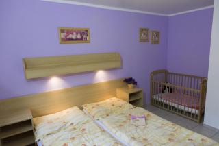 Penzion Alfa - Železná Ruda - 3