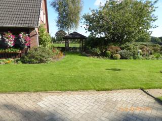Schmidtfewo Moorgeist - 1