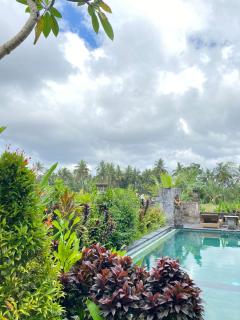 Beras Bali Guest House - 9