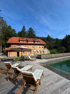 Mariandl Alm - 8