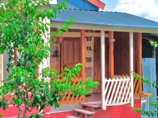 Duplex House Jibhi - 0