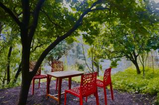 Duplex House Jibhi - 8