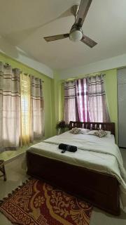 Golden Nest - 3