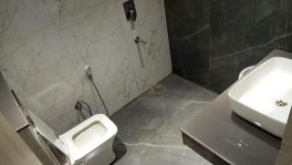 Amber Continental - 3