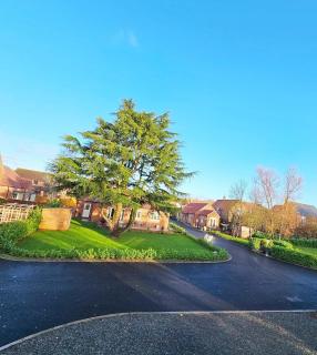 New traditional village house - 9