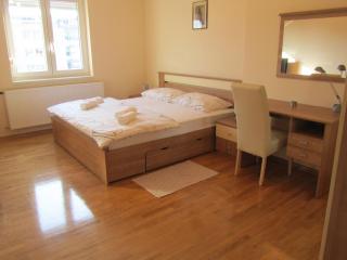 Apartment Domi Kvatric - Zagreb - 0