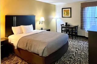 Quality Inn & Suites Clemmons I-40 - 7