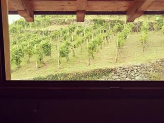 Le Ruote - Berbenno di Valtellina - 7