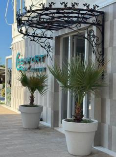 Comfort Suites - 4