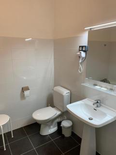 Hôtel Brasserie Le Lion d'Or - 1