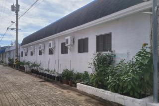 taean mammose pension - 1