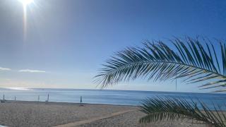 Residence costa dei gigli 3 - 8