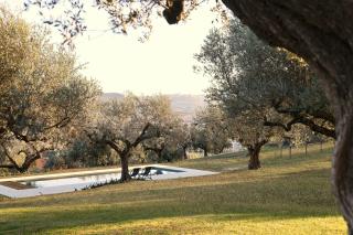 Villa With Olive Grove In Abruzzo - 8