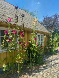 Historic Cottage In The Heart Of Österlen - 8