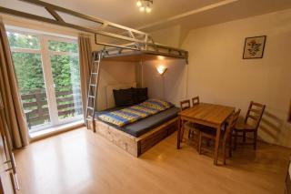 Apartmán Labská 21 ve Špindlerově Mlýně - 9