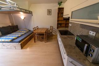 Apartmán Labská 21 ve Špindlerově Mlýně - 8