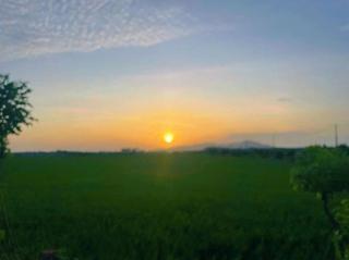 An Nhiên Homestay- Cánh đồng An Nhất - 5