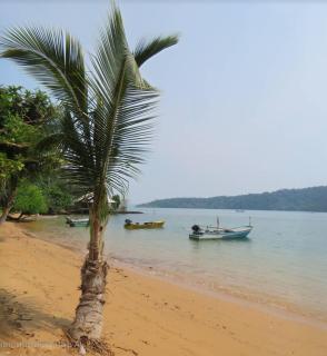 Laem Tukkata beach Koh Mak - 5