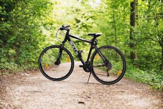 Harz-Fewo-Wolf - 4