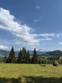 CABANA CEITREI - MOUNTAIN VIEW GIUMALAU - 5