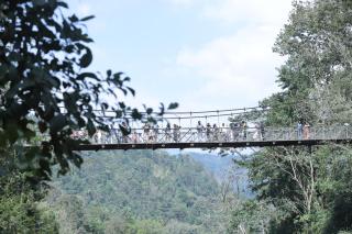 Ponmudi heritage bunglaow - 1