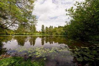 South Lodge at Pudleston Court - 3