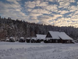 Nad Mikowym Potokiem - wydzielona część drewnianego domu z osobnym wejściem i ogrodem - 0