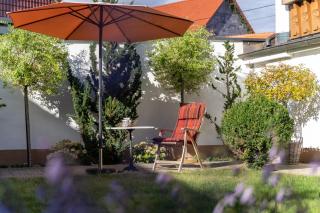 Lux Ferienwohnung altes Landwarenhaus mit Garten und zubuchbarer Sauna - 8