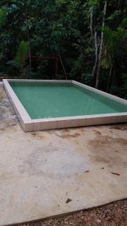 Dillenia Garden - 1