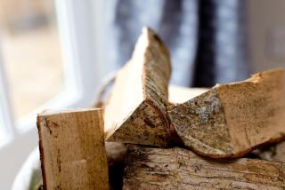 The Gatehouse at Pudleston Court - 5